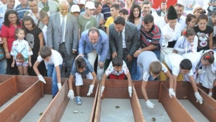  Kurbağalar yarıştı