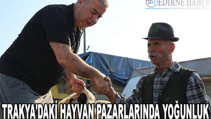 Trakya'daki hayvan pazarlarında yoğunluk