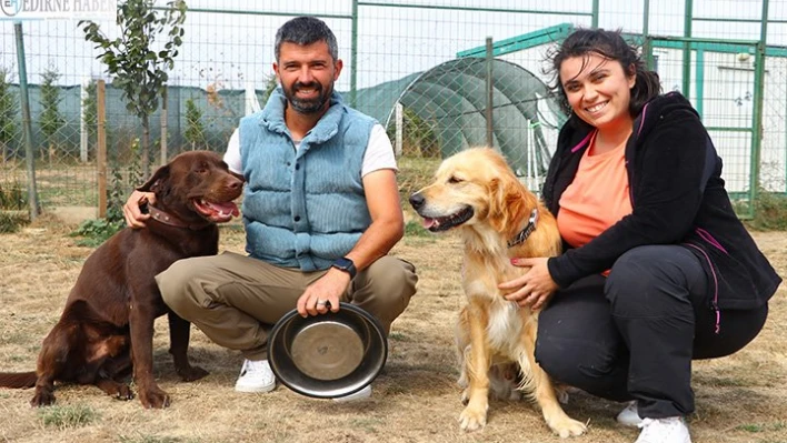Kurdukları 'köpek oteli'nde can dostları misafir ediyorlar