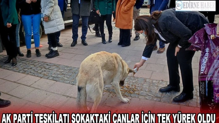 AK Parti teşkilatı sokaktaki canlar için tek yürek oldu