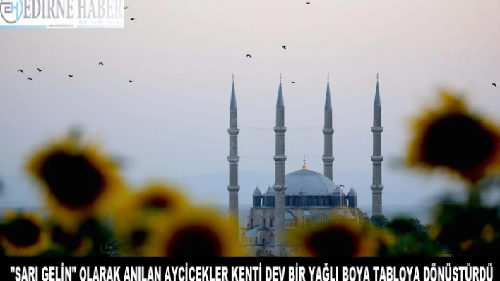 'SARI GELİN' OLARAK ANILAN AYÇİÇEKLER KENTİ DEV BİR YAĞLI BOYA TABLOYA DÖNÜŞTÜRDÜ