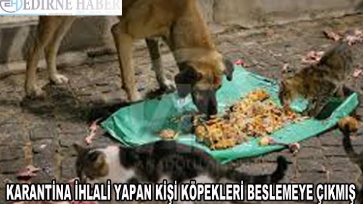 Karantina ihlali yapan kişinin köpeklerini beslemeye gittiği tespit edildi
