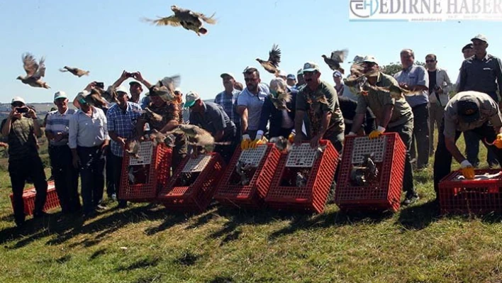 Keklikler komşu ülke sınırında kanat çırpacak
