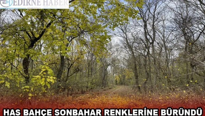 HAS BAHÇE SONBAHAR RENKLERİNE BÜRÜNDÜ