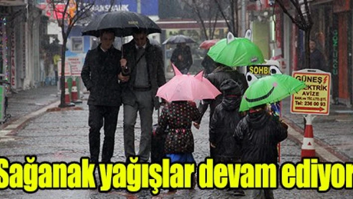 Edirne'de sağanak yaşamı olumsuz etkiledi. 