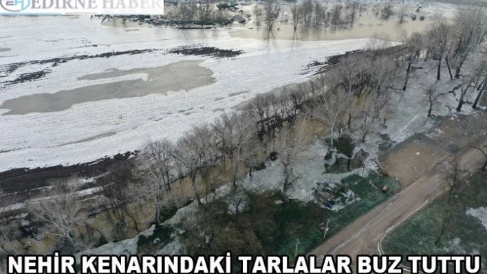 Tunca Nehri kenarındaki tarlalar soğuk nedeniyle buz tuttu