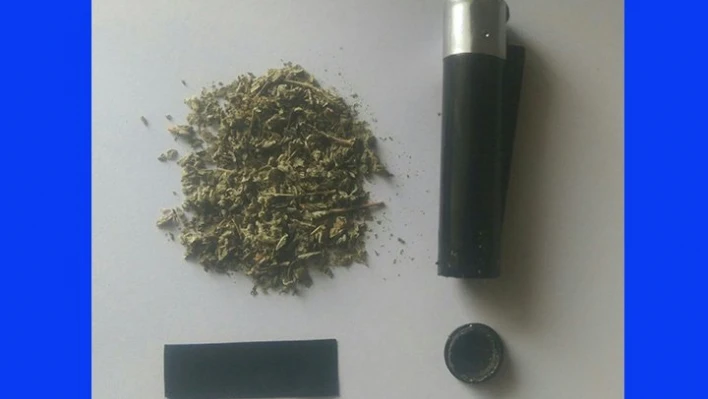 20 Gram bonzai ele geçirildi
