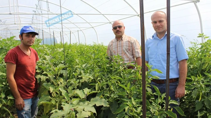 153 çiftçi projesine destek sağlandı