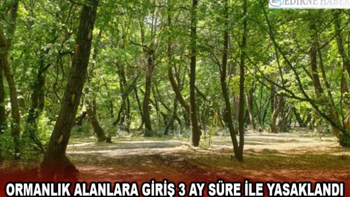 Ormanlık alanlara giriş 3 ay süre ile yasaklandı