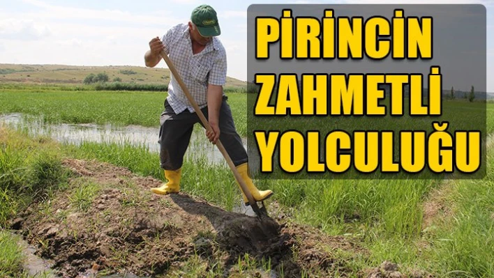 'Bin bir emekle yetişiyor'