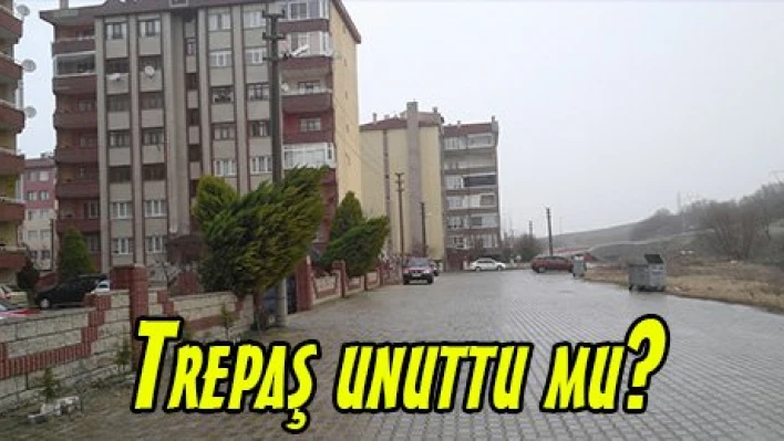 Trepaş unuttu mu?