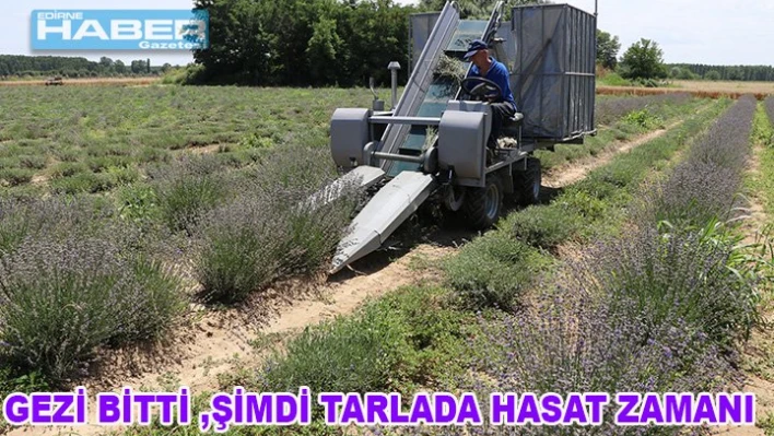 Gezi bitti hasat yapıldı