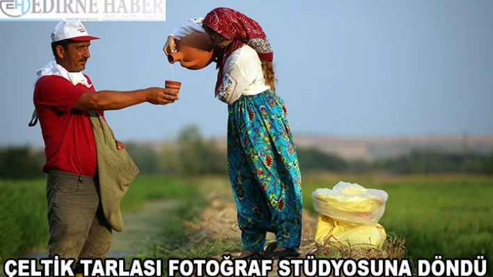  Çeltik tarlası fotoğrafçılara doğal stüdyo oldu