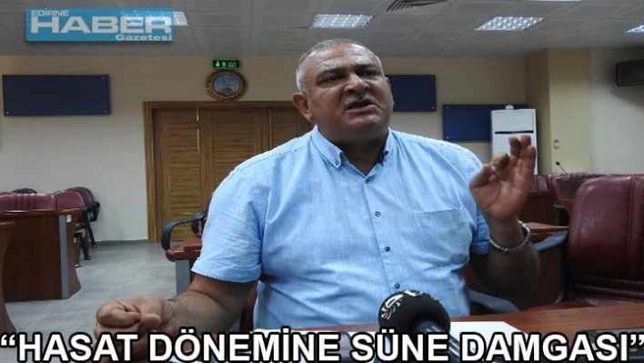 'Hasat dönemine süne damgası'