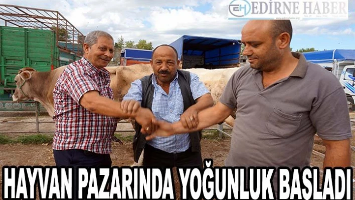 Trakya'daki hayvan pazarlarında yoğunluk