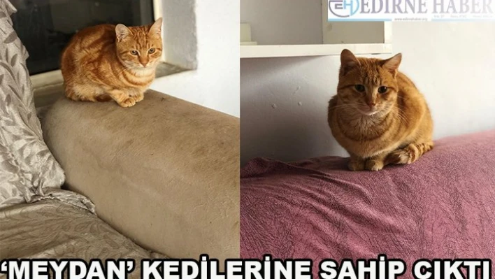 â€˜Meydan' kedilerine sahip çıktı