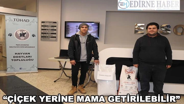 Örnek davranış