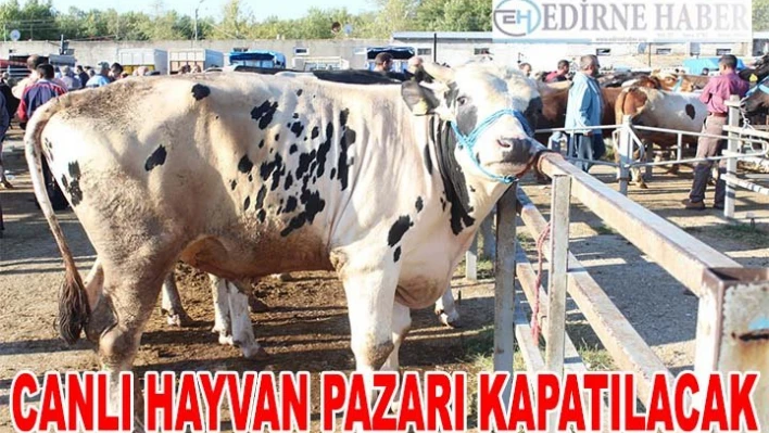 Canlı Hayvan Pazarı kapatılacak