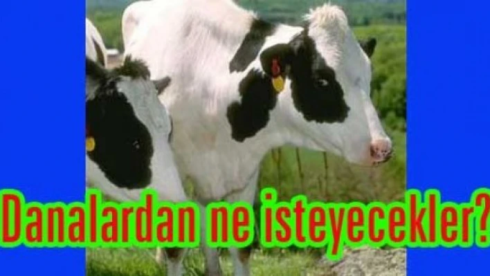 Pasaport şart