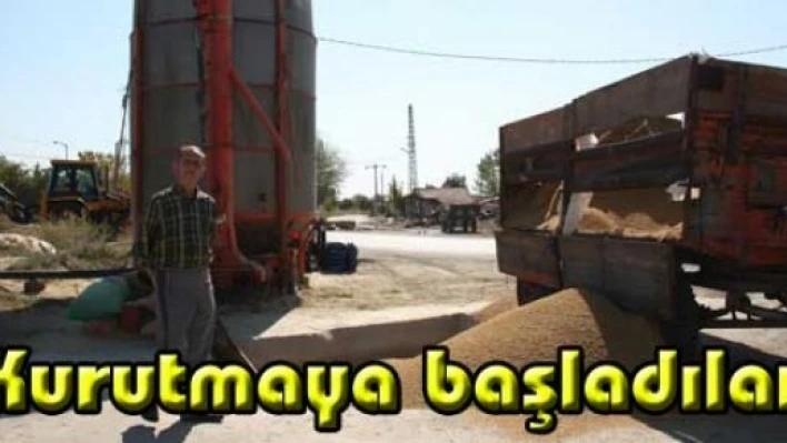 Çeltik mesai başladı