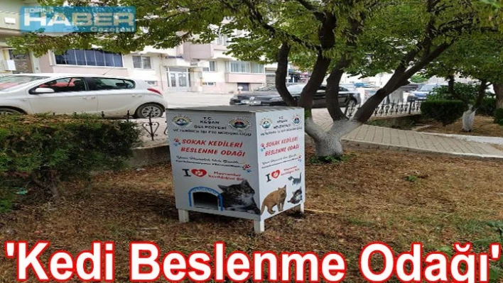 Sokak hayvanları aç kalmıyor