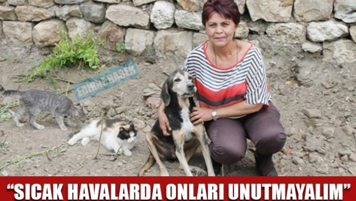 'Sıcaklarda sokak hayvanlarını unutmayalım'