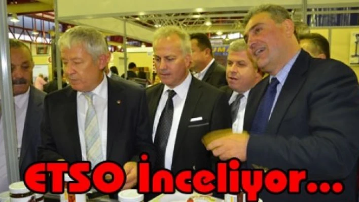  ETSO yatırımları inceliyor