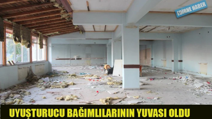 Öğretmenevi yıkıldı, Bonzai'cilere gün doğdu