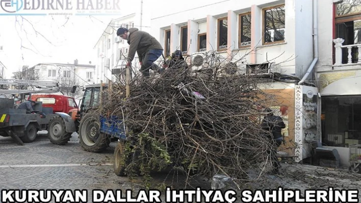 Kuruyan dallar ihtiyaç sahiplerine