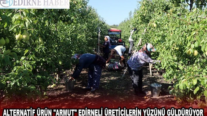 Alternatif ürün 'armut' Edirneli üreticilerin yüzünü güldürüyor