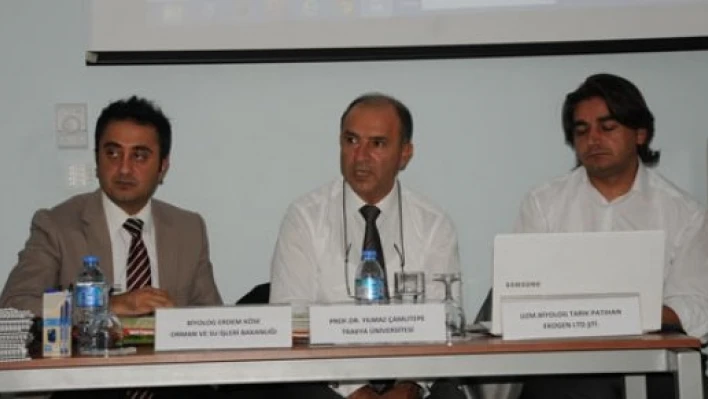 Karıncalar koruma altında