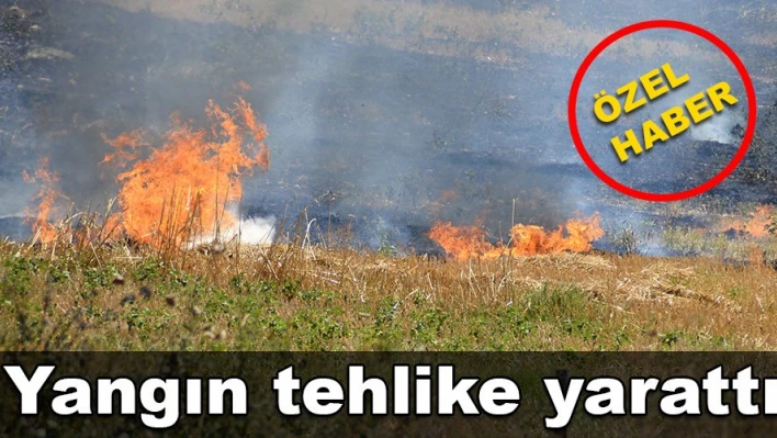 Siyaha boyandı