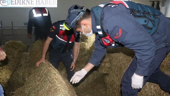 9 zanlı yakalandı