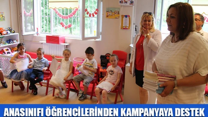 Mavi kapak desteği