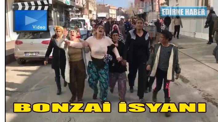 Edirne'de Bonzai gerginliğiÂ 
