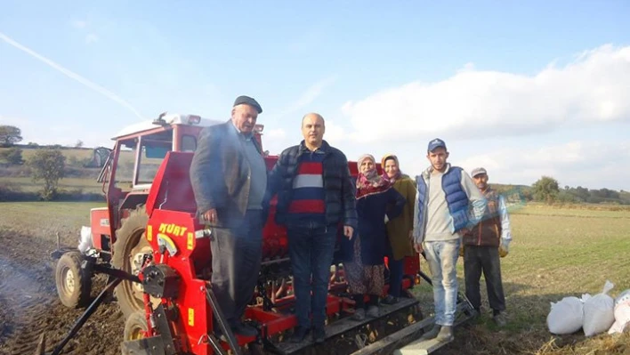 Yeni çeşit Buğday verimi arttıracak