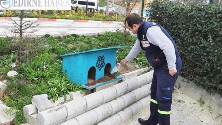 Ekipler sokak hayvanlarını besledi