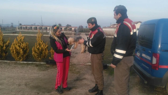 İnternette satacaklardı