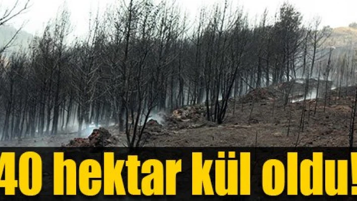 Ciğerlerimiz yandı