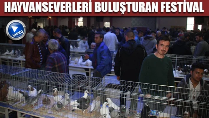 Kuş severler bu festivalde buluştu