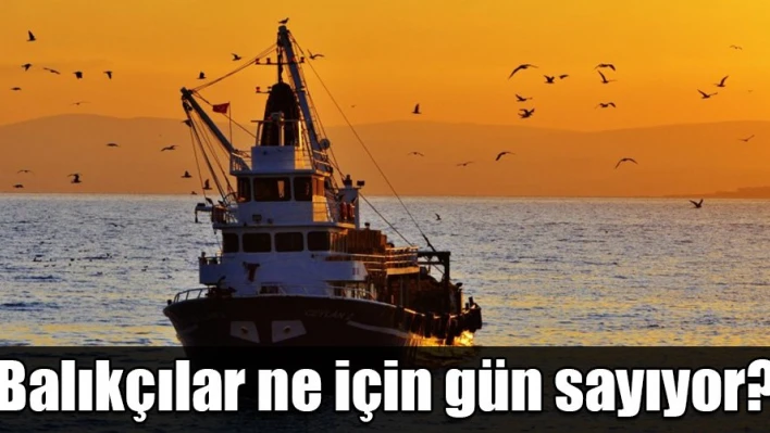 Gün sayıyorlar