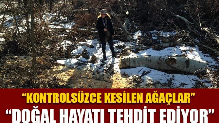 'Endişe verici'