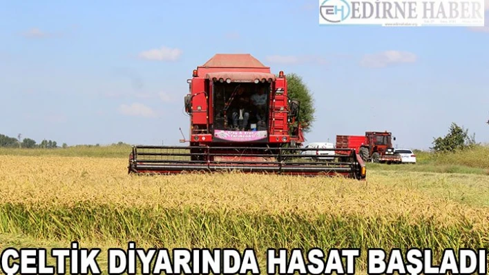Çeltik diyarında hasat başladı