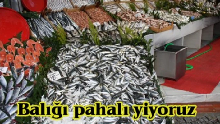 Balığı pahalı yiyoruz