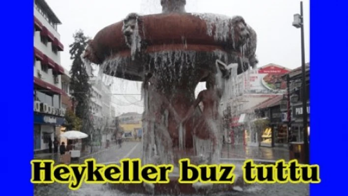 Heykeller buz tuttu