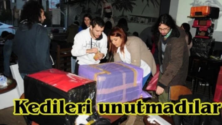 Kedileri unutmadılar