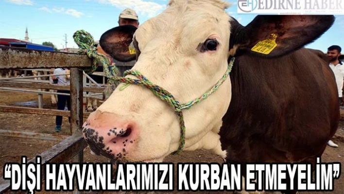 'Dişi hayvanlarımızı kesmemeye özen gösterelim'