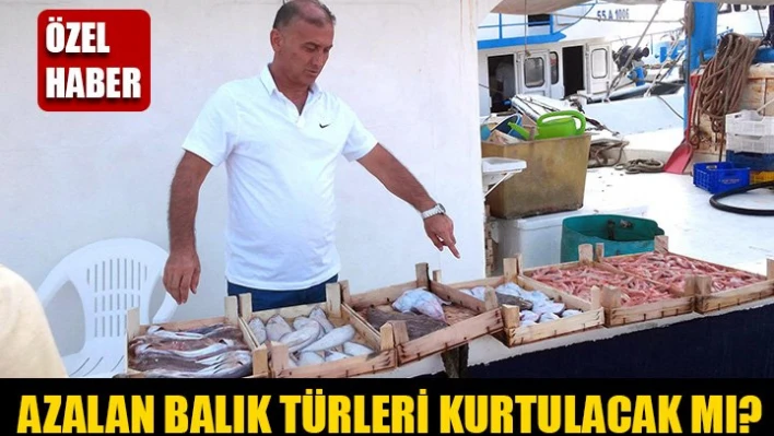 Saros için umut ışığı