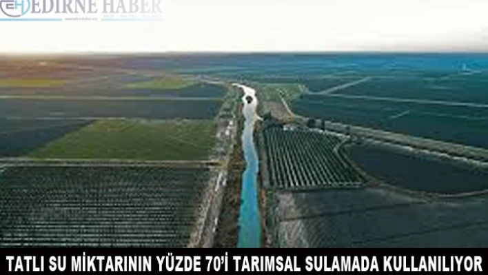 Tatlı su miktarının yüzde 70'i tarımsal sulamada kullanılıyor