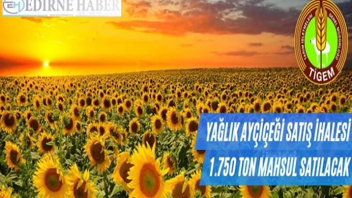 Ayçiçeği Açık Arttırma İle Satılacak